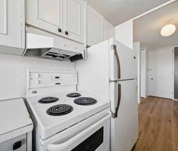 Renovated Suite - 1 Bedroom - Photo 3