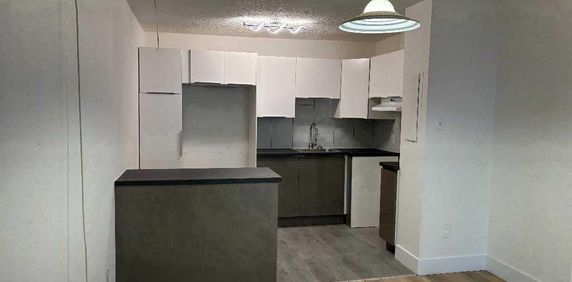 Laval des rapides - 4 1/2 - Chauffé, Montmorency, Ascenseur, Béton - Photo 2