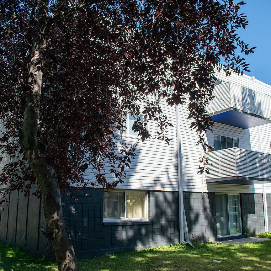 7107 Elbow Drive SW, Calgary - Photo 1