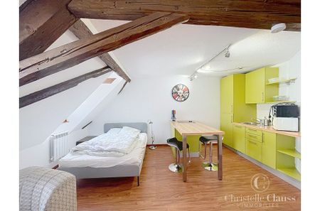 Appartement - MOLSHEIM - 23m² - 1 chambre - Photo 3