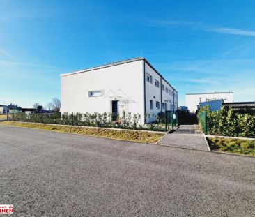 2 Reihenhäuser mit Kaufoption verfügbar - Erstbezug! - Photo 1