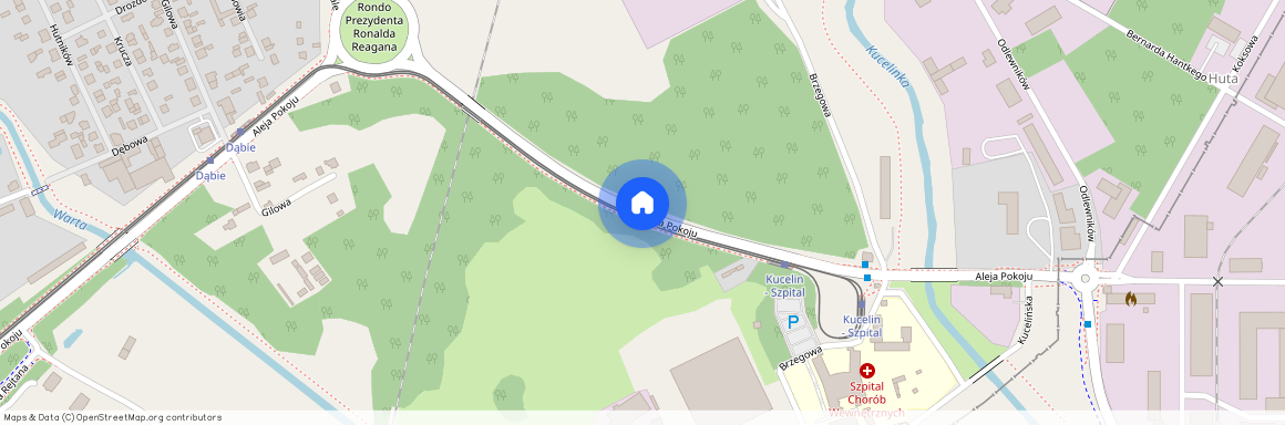 al. Aleja Pokoju, Zawodzie-Dąbie, Częstochowa, śląskie