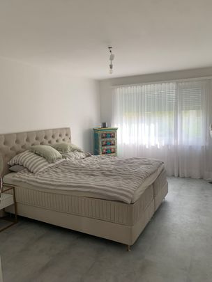 2.5 Zimmerwohnung in Dübendorf - Photo 1