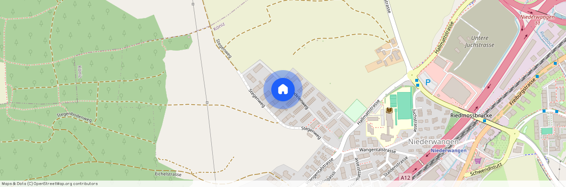 Bodelenweg 101, 3172 Niederwangen BE