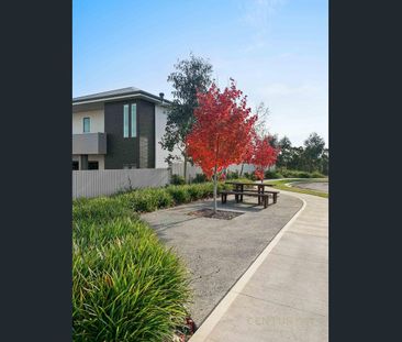 19 Huntington Street, Gledswood Hills, NSW 2557 - Photo 4