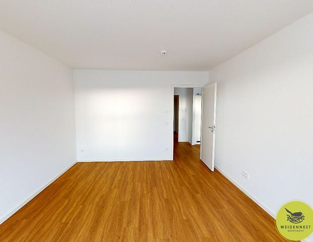 Moderne 3-Zimmer-Wohnung mit EBK, Dachterrasse und Kellerraum - Photo 1