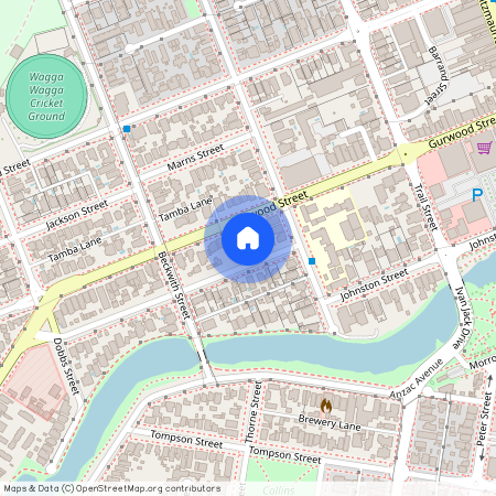 13 Freer Street, NSW 2650, Wagga Wagga