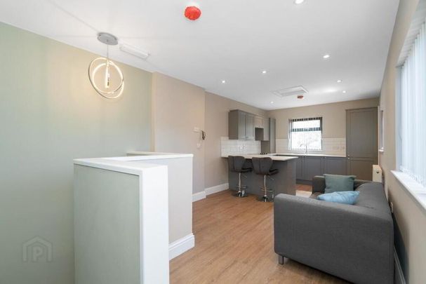 Apt 3, 17 Camden Street, Belfast, BT9 6AT - Photo 1