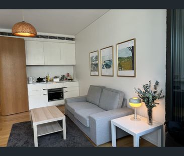 2 Chippendale Way, Chippendale, NSW 2008 - Photo 2