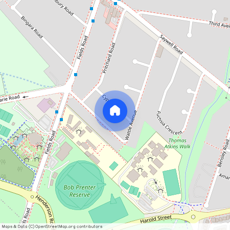 8 Cyprus Street, Macquarie Fields, NSW 2564