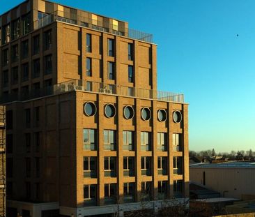 Studio to rent - Photo 5