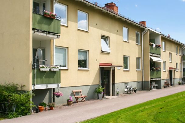 Avesta Hede: Tvåa i markplan - Foto 1