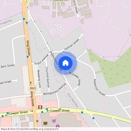 3 MCGOWEN STREET, Port Kembla