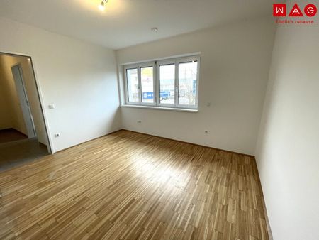 Sehr schöne 3-Raum-Neubauwohnung in Oed/Linz! Ab sofort zu beziehen! - Photo 3