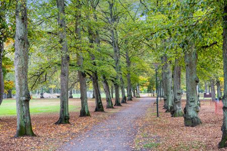 Bråddgatan, Norrköping - Foto 4