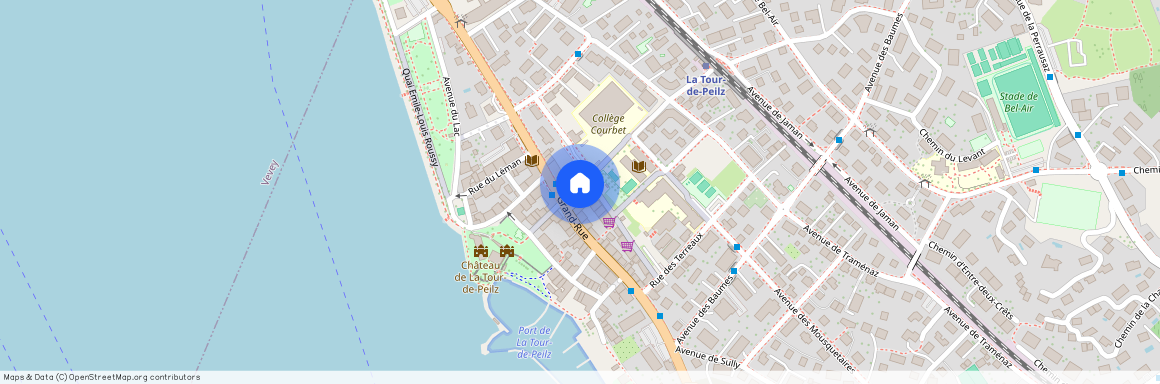 Av. des Mousquetaires 20, La Tour-de-Peilz