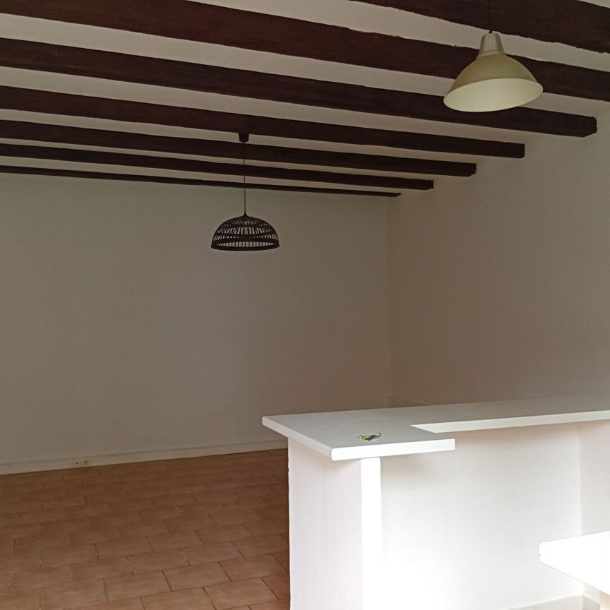 Sur la commune de saliers entre Arles et St Gilles, dans une résidence avec piscine, T2 de 52m², - Photo 1