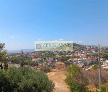 Μονοκατοικία 200 τ.μ. προς ενοικίαση - Photo 5