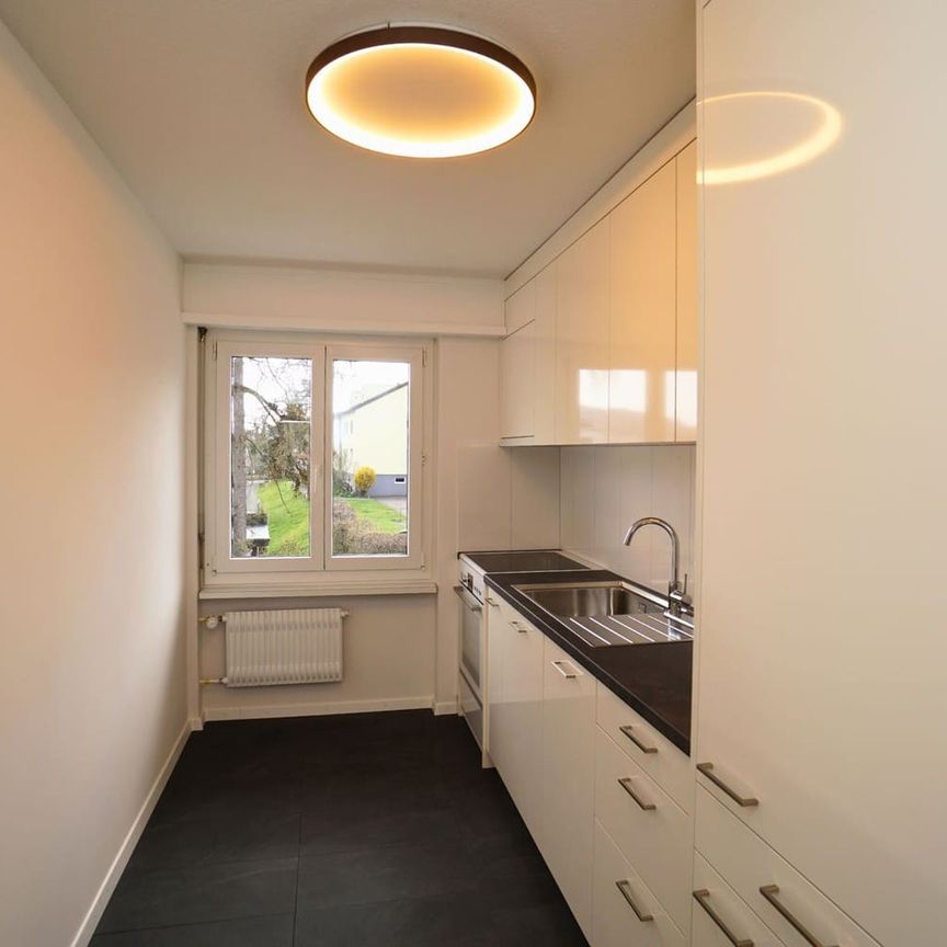 2.5 Zimmer, 50 m², 1. Stock - Foto 1