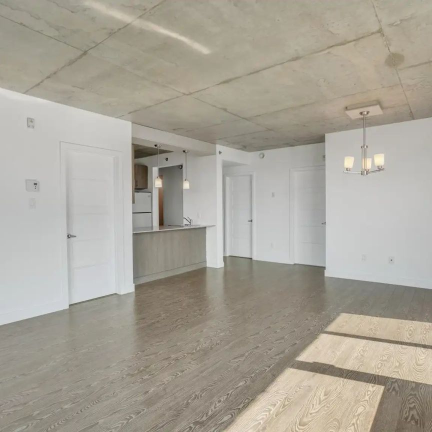 250-260-270 Maisonneuve — 260-501 - Photo 1