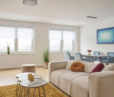 Wohnen in Langen - Exklusive und lichtdurchflutete Neubauwohnungen - Foto 1