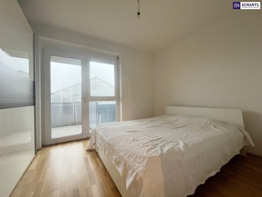 HELLE GERÄUMGE 2-Zimmer WOHNUNG in TOP LAGE mit tollem SÜD-BALKON! Ab sofort verfügbar! - Photo 1