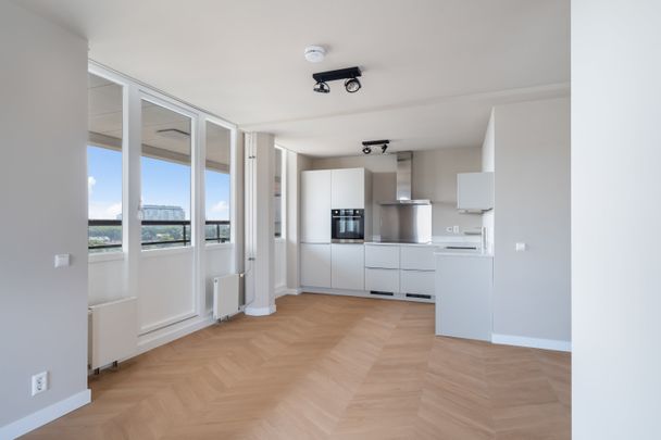 Te huur: Appartement Van Hogenhoucklaan in Den Haag - Foto 1