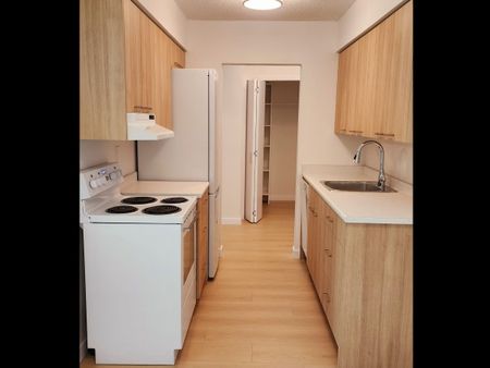 Fairview court Holdings - Photo 4