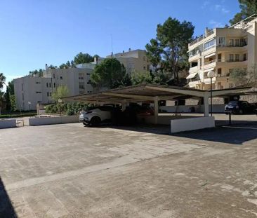 Calvià - Photo 5