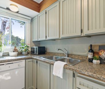 For Lease - 124 ESCARPMENT Crescent, Collingwood, Ontario - Photo 5