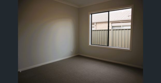 Larger than average - Photo 1