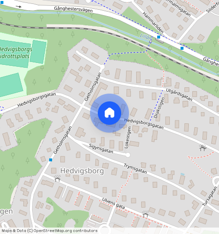 Hedvigsborgsgatan, Borås