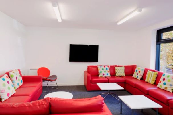 Medium Studio - Photo 1