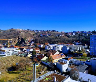 PUNKTHAUS: Top-Mietwohnung mit Ausblick - Foto 1