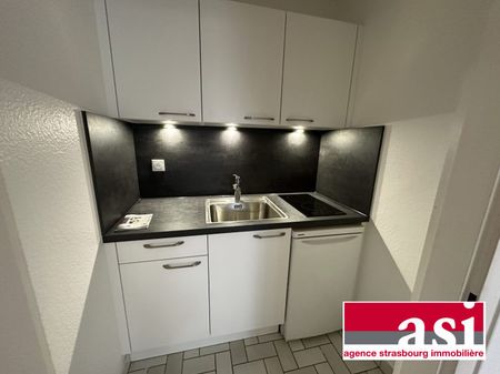Strasbourg Robertsau, 1 pièce avec balcon - Photo 3