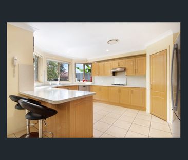 38 Beacon Hill Road, Beacon Hill, NSW 2100 - Photo 6