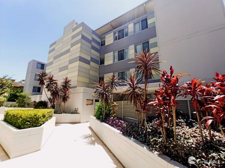 5-9 Wilga Street, Sydney - Photo 5