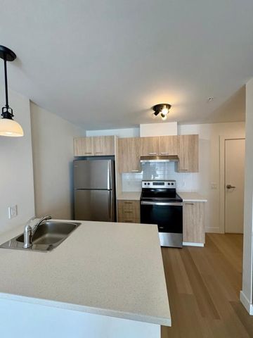 270 Rue Castonguay, app.501, J7Y 0R3, Saint-Jérôme - Photo 4