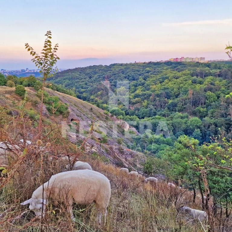 Pronájem bytu 3+1 100 m2 - Photo 1