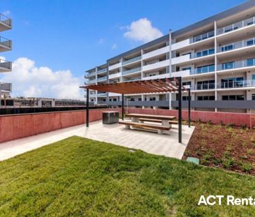 15/40 Philip Hodgins Street, Wright ACT 2611 - Apartment For Rent |... - Photo 2