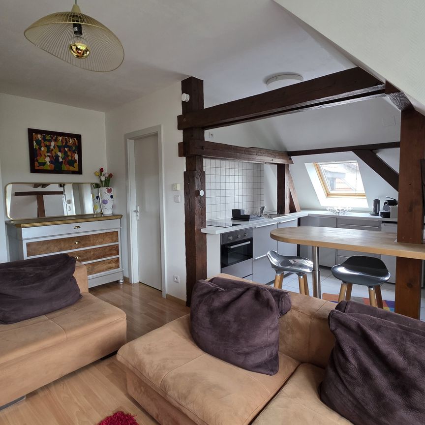 Location Appartement 2 pièces 30m² WISSEMBOURG 67160 - Photo 1
