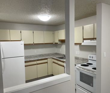 2 Bedroom Apartments – Lake Pointe Condos - Photo 1