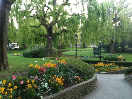 Appartement 24 m² - 1 pièce - Le Chesnay Rocquencourt (78150) - Photo 5