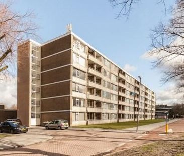 Kerkwervesingel 0ong, 3086 HH Rotterdam, Nederland - Foto 2