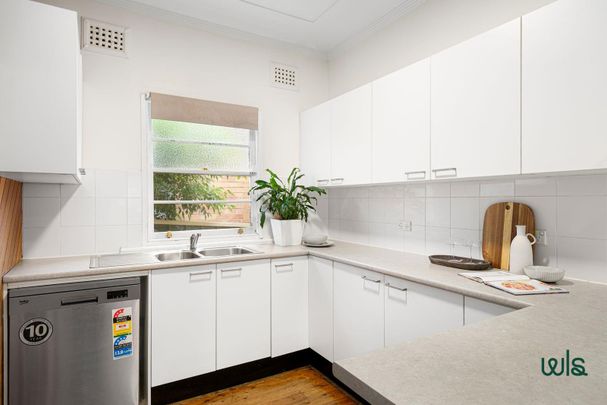 14 Delando Street, Waratah NSW 2298 - House For Rent | Domain - Photo 1