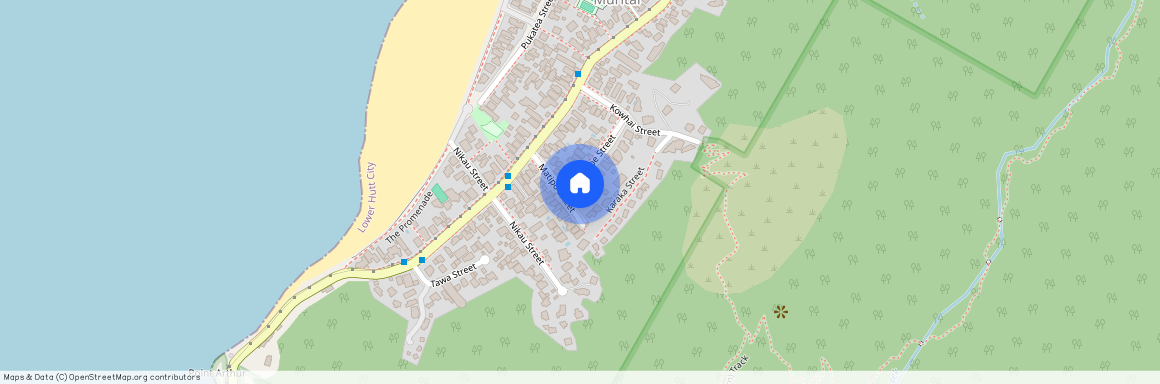 4 Mahoe Street, Lower Hutt, Lower Hutt