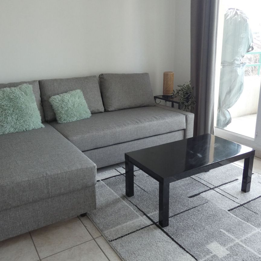 Location T3 62 m2 Dauphiné-Lacassagne Lyon 3ème - Photo 1