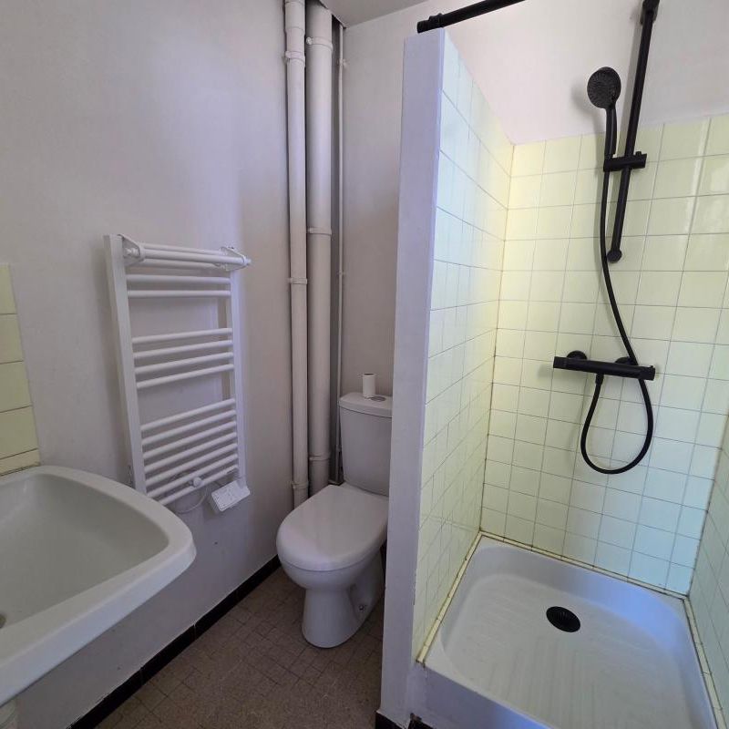 Location Appartement 1 pièce 21m² LA VILLE DU BOIS 91620 - Photo 1