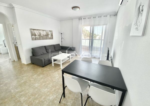 Apartment in Cabo Roig for long term ren