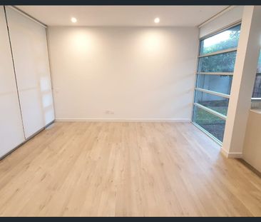 Luxurious 2 bed ground level garden apartment - ARTARMON - Photo 3